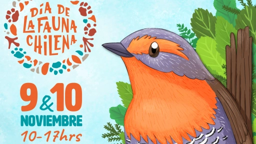 Conocer para valorar y proteger ¡Celebra el Día de la Fauna Chilena 2024!