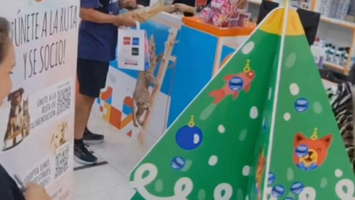 Club de Perros y Gatos realiza Navidad Solidaria: Ayuda a una fundación de animales abandonados