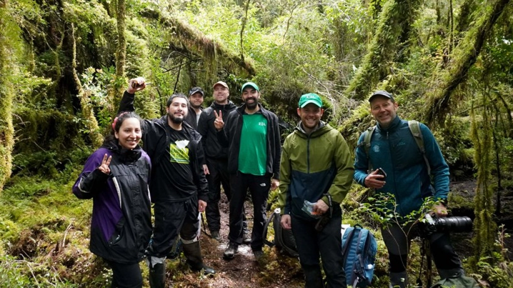 Equipo en terreno durante el rescate / Jaime Beltrand, ONG Ranita de Darwin.