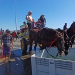 SAG y COLMEVET llaman a cuidar el bienestar de los caballos en la procesión a Lo Vásquez