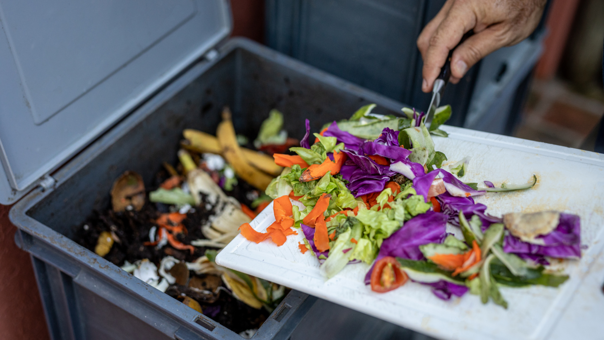 Compostaje ¿Cómo transformar los desechos en abono y reducir la basura ...