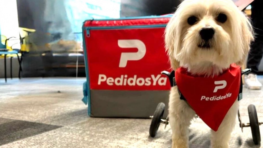 Perro Fundación Chile Mestizo, PedidosYa