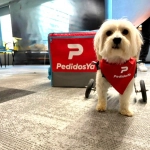 PedidosYa donará $1.000 por cada operación para ir en ayuda de los perros de la \