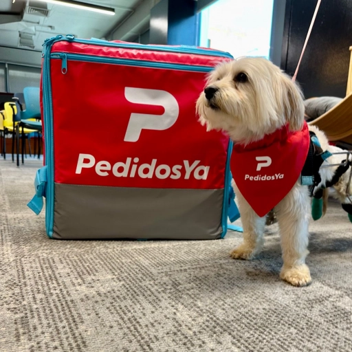 Perro Fundación Chile Mestizo / PedidosYa