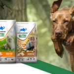 Relanzamiento Animal Planet Nutri Balance: