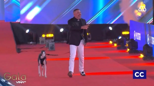 Galgos libres: El mensaje de José Antonio Neme en la alfombra roja del Festival de Viña