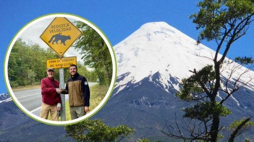 Experto visita Parque Nacional Vicente Pérez Rosales para reforzar protección de fauna