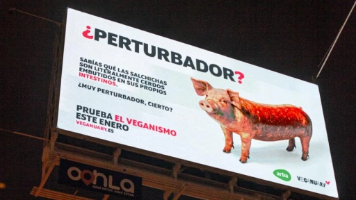 La presencia de Veganuary y su campaña sigue creciendo en Latinoamérica 