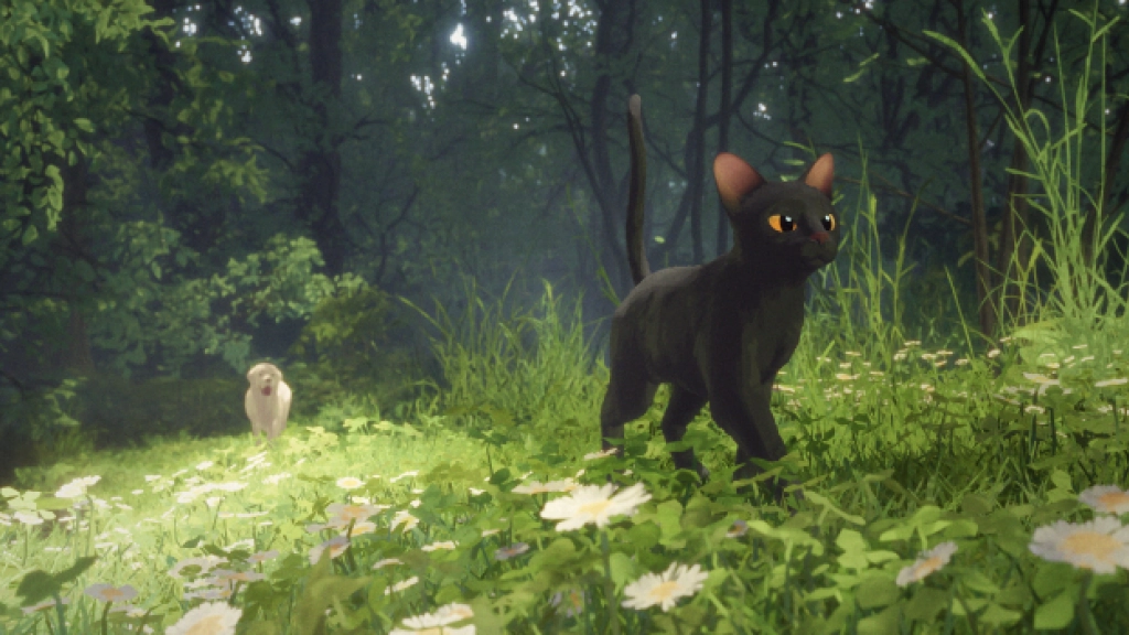 Flow / Comunicado de prensa