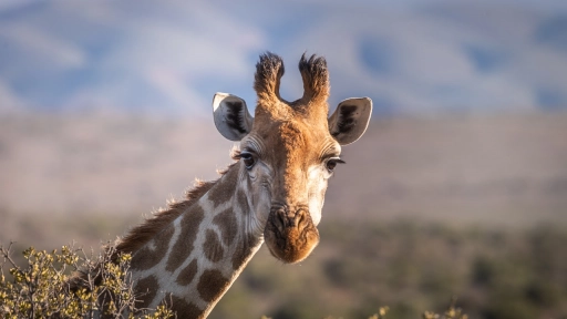 La importancia del Día Mundial de la Naturaleza: Un recordatorio para la conservación