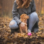 Pet Parenting: 7 de cada 10 millennials opta por tener animales en vez de hijos