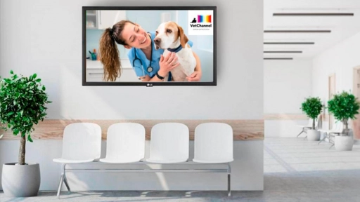 VetChannel: Comienza sus transmisiones el primer canal veterinario de Chile