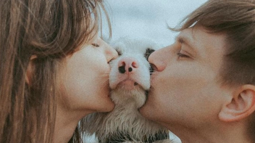 Estudio: 7 de cada 10 millennials prefieren tener animales en vez de hijos