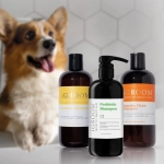 ¿Qué shampoo usar según el tipo de pelaje de tu perro?