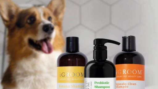 ¿Qué shampoo usar según el tipo de pelaje de tu perro?