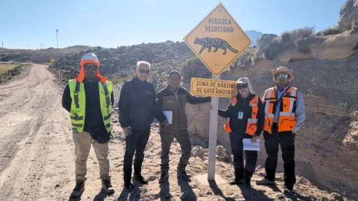 Instalan señalética para proteger a la fauna nativa de Arica y Parinacota