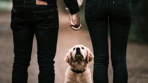 7 de cada 10 millennials opta por tener animales en vez de hijos