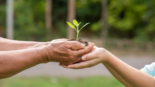 Mondelez avanza en su estrategia Sustainable snacking 2030