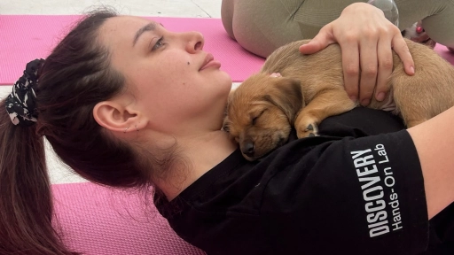 Celebra el Día del Perro de una forma única: Yoga con cachorros para fomentar la adopción responsable