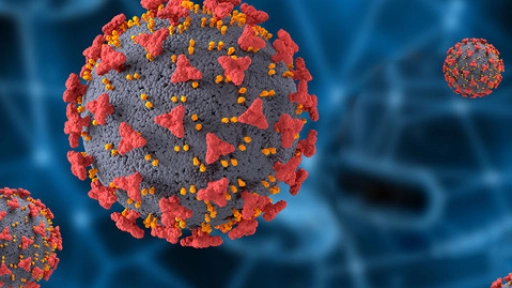 Zoonosis bajo la lupa: las enfermedades que conectan la salud humana y animal