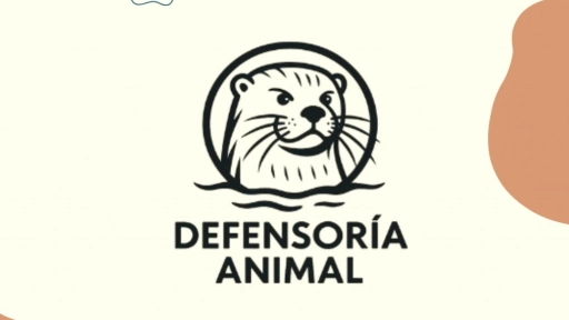 Nace Defensoría Animal: Red jurídica colaborativa de profesionales por los derechos de los animales en Chile