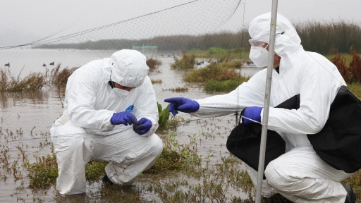 Chile es el único país de Latinoamérica seleccionado por la FAO para liderar proyecto que fortalece la respuesta ante emergencias zoosanitarias