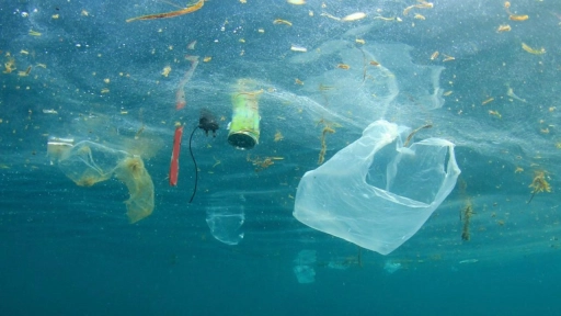 5 billones de bolsas plásticas al año: La amenaza invisible que podría contaminar el planeta por 500 años