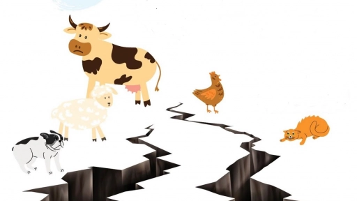 Cómo actuar en caso de terremotos y tsunamis