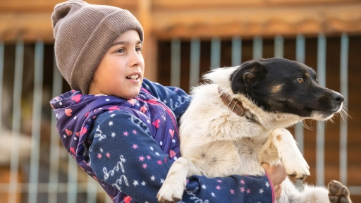 Cuidado de animales ante emergencias