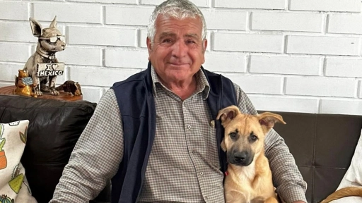 Municipio de Copiapó condena maltrato animal contra cachorro 
