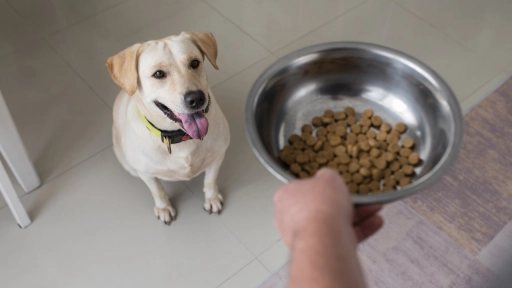 Guía para almacenar el alimento de nuestros animales en invierno