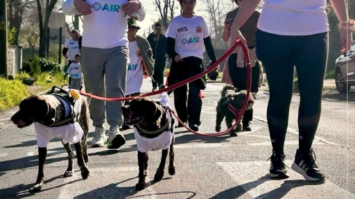 Peques y animales celebraron el Día de la Niñez con masiva corrida