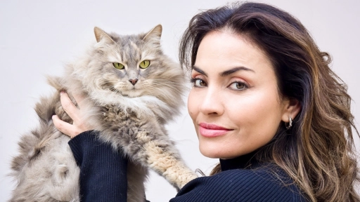 Carmen Gloria Bresky Los gatos son muy apañadores