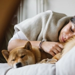 El 65% de los chilenos duerme con sus perros y gatos