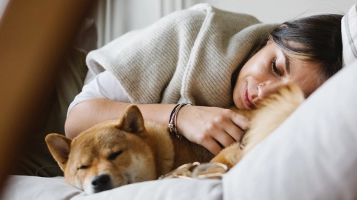 El 65% de los chilenos duerme con sus perros y gatos