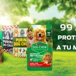 Dog Chow: Nueva fórmula para cada etapa de vida de nuestros perros