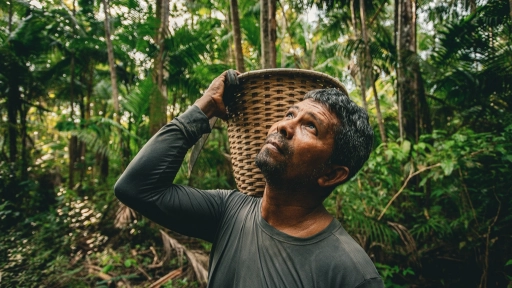 Natura obtiene una calificación A en el CDP Clima