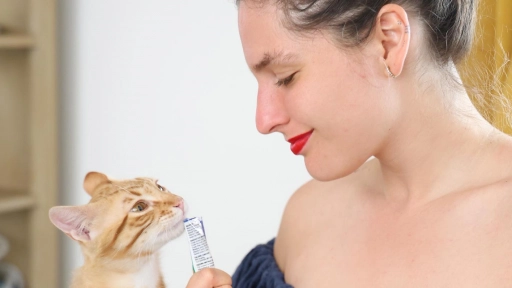 Vínculo humano gato: Más allá de lo que creemos 