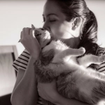 No solo ocurre en perros: Formas de liberar oxitocina en gatos y reforzar los vínculos