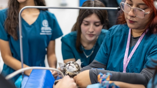 Congreso AFEVET 2025: Conectando conocimiento y trazando el futuro de las Ciencias Veterinarias