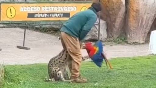 Declaración Colmevet por incidente en Bioparque Buin Zoo: