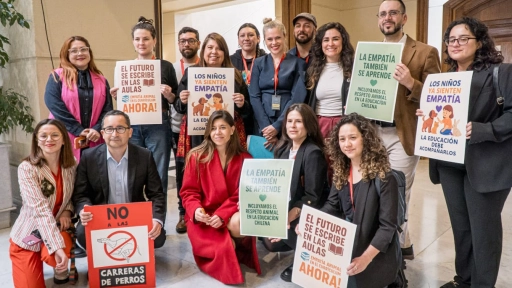 Proyecto de ley busca incorporar el respeto animal como principio clave en la educación chilena