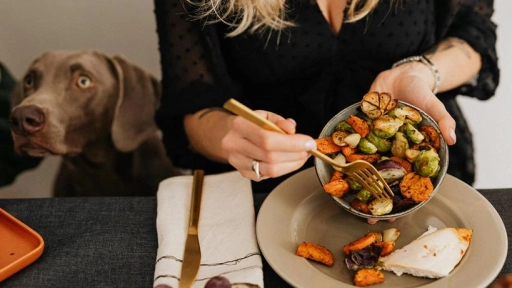 Fiestas Patrias: Consultas veterinarias aumentan entre un 25 y un 30% tras festividades