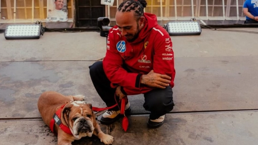Murió Roscoe: El perro de Lewis Hamilton