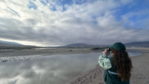 Renuevan periodo de prohibición de caza en humedal del río Huasco