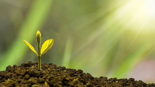 Fundación Basura participará por primera vez en la COP