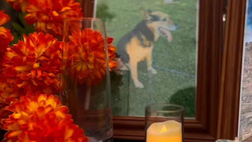 Carabineros conmemorará el Día de los animales que partieron