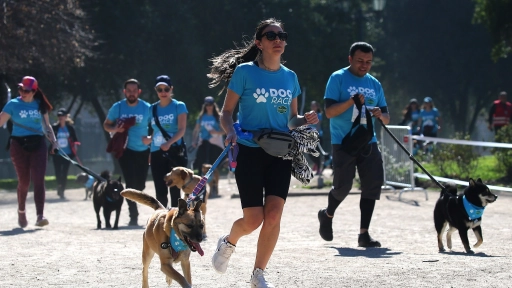 Corrida para perros y sus familias en el Parque Padre Hurtado será el domingo 26 de octubre