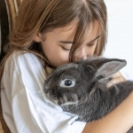 Educación con empatía: El proyecto que busca incluir el respeto animal en las aulas