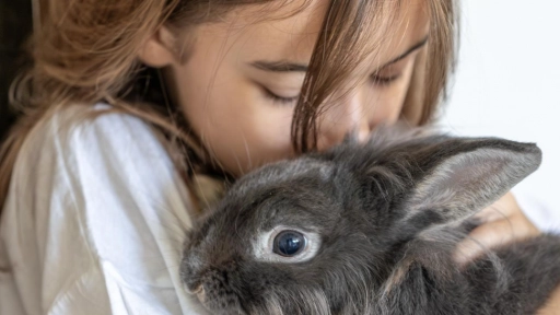 Educación con empatía: El proyecto que busca incluir el respeto animal en las aulas